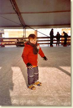 20081213-01 Schaatsen op de koewei